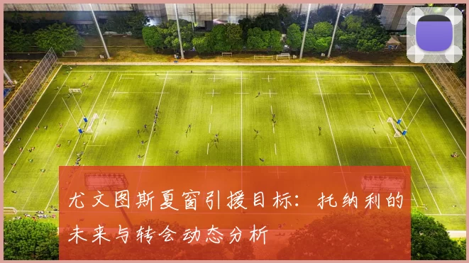 尤文图斯夏窗引援目标：托纳利的未来与转会动态分析