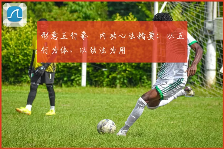 形意五行拳・内功心法精要：以五行为体，以劲法为用
