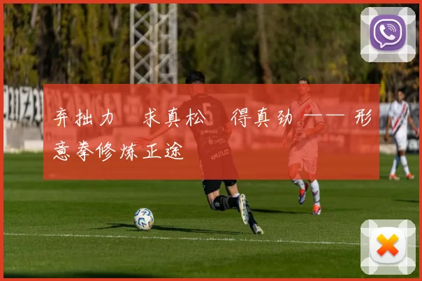 弃拙力・求真松・得真劲 —— 形意拳修炼正途