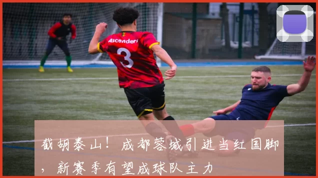 截胡泰山！成都蓉城引进当红国脚，新赛季有望成球队主力