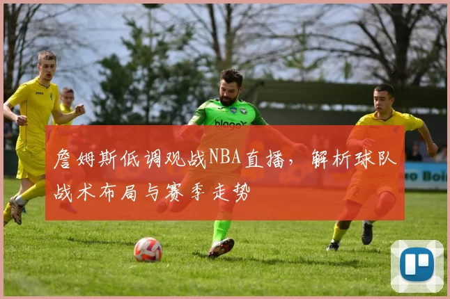 詹姆斯低调观战NBA直播，解析球队战术布局与赛季走势