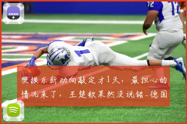 樊振东新动向敲定才1天，最担心的情况来了，王楚钦果然没说错_德国_波尔_杜塞尔多夫