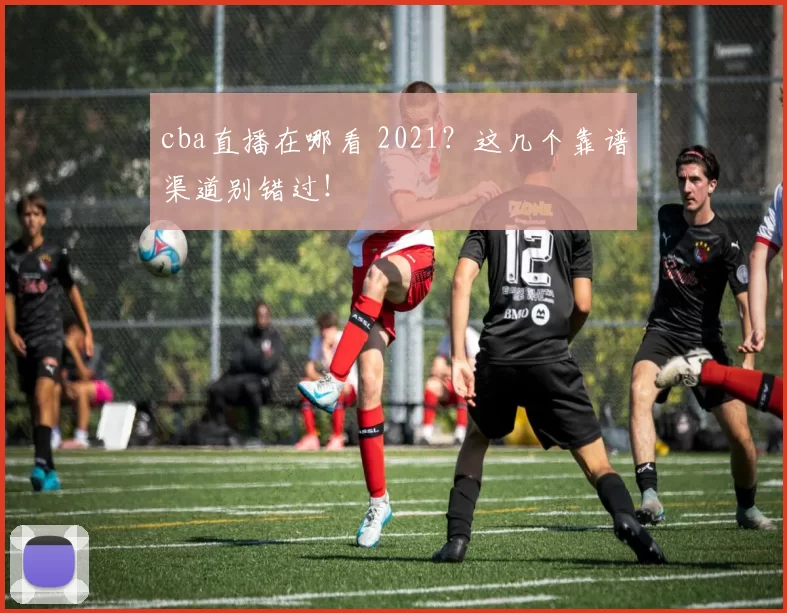 cba直播在哪看 2021？这几个靠谱渠道别错过！